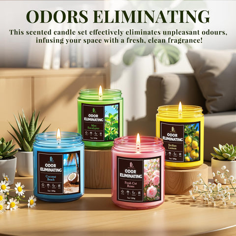DL Dreamy Dewla kitchen and bathroom use refreshes air spaces