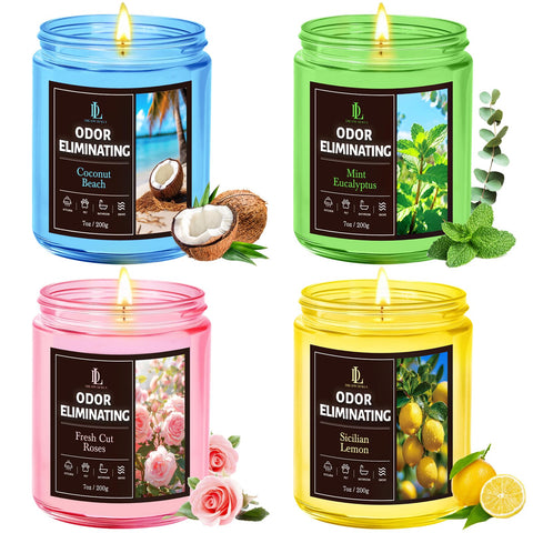 DL Dreamy Dewla lemon mint eucalyptus candle provides fresh, uplifting scent for any room