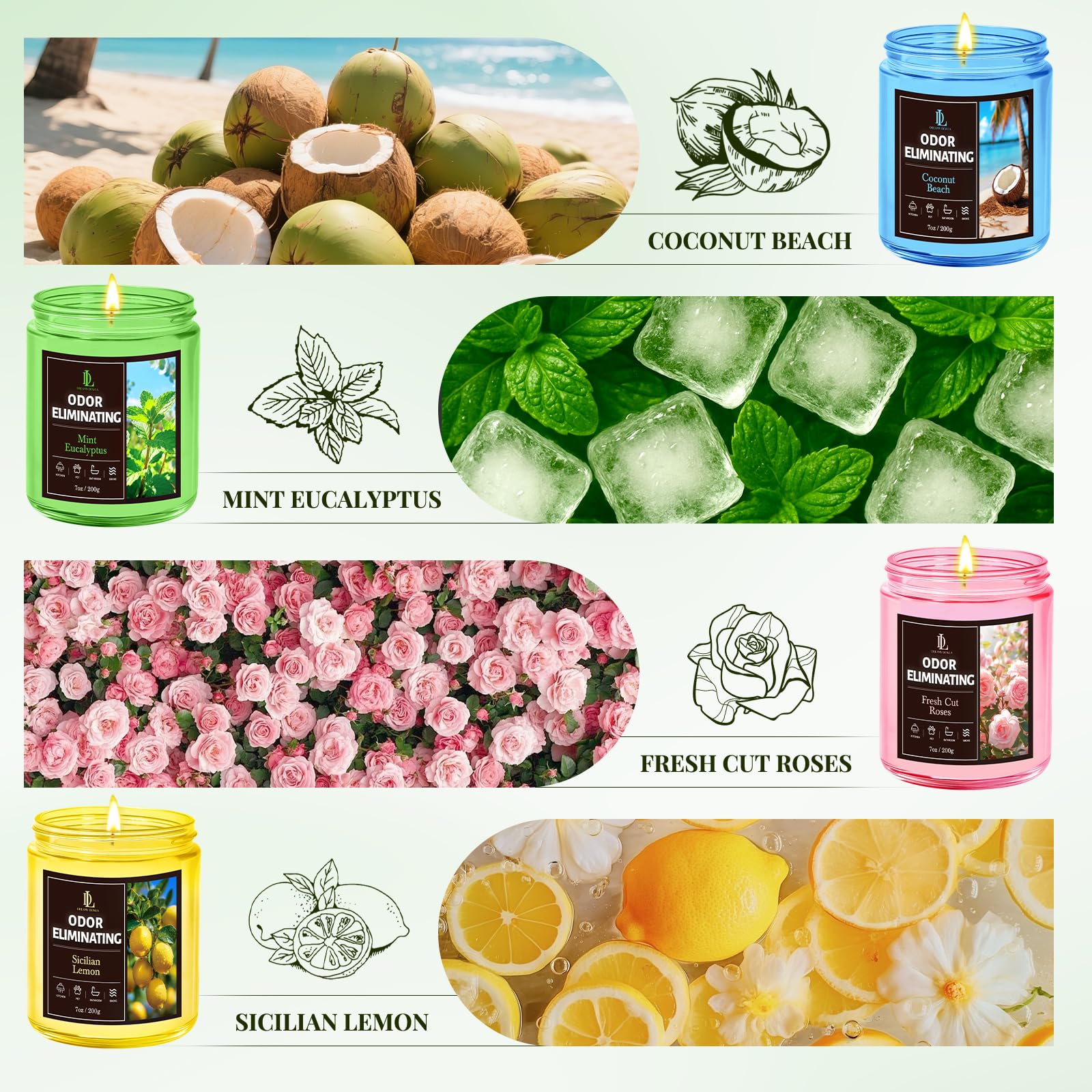 DL Dreamy Dewla multi-candle set offers extended fragrance across home spaces