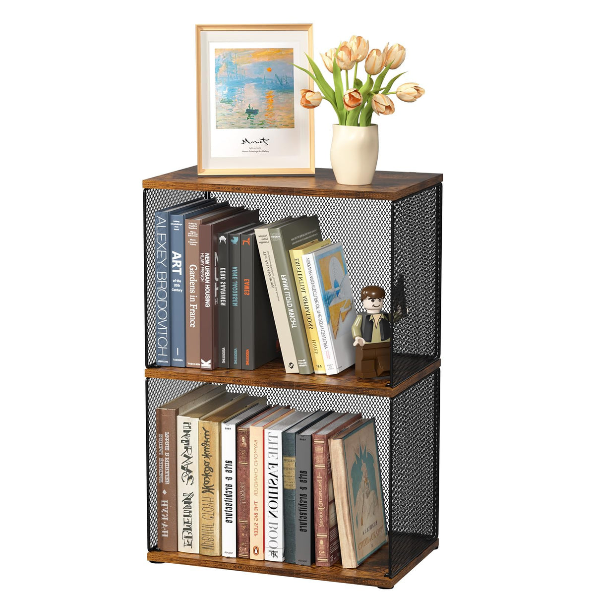 Dmevkic small bookshelf 2-tiers side view with visible wire grid panels for easy access.