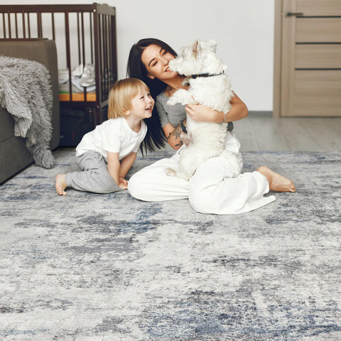 DMOYEST soft low-pile rug with cloud-like underfoot feel.