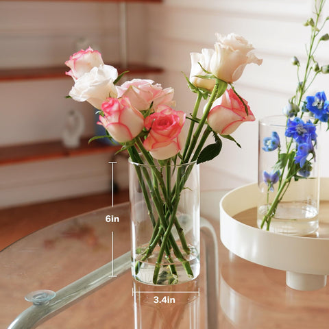 DNANAOL clear glass vases with durable design for lasting tables