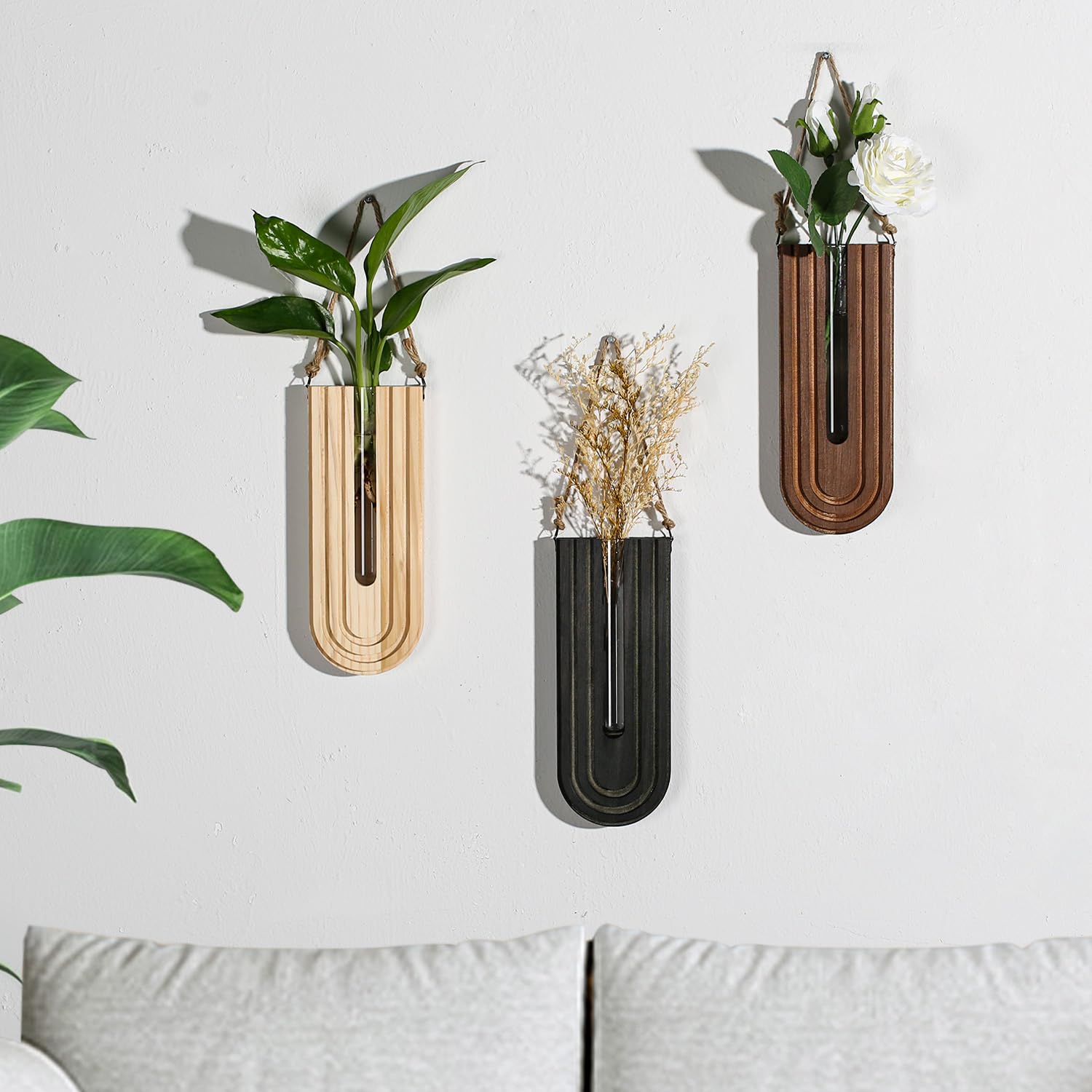 Dnnnii display idea for air plants, succulents, and dried botanicals in living spaces.