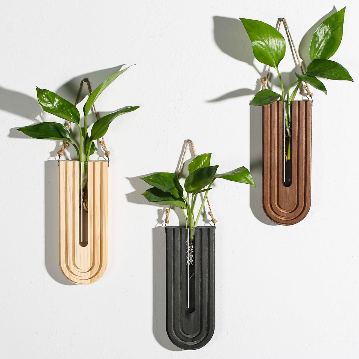 Dnnnii indoor wall planter set with curved rainbow display enhancing small spaces.