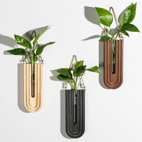 Dnnnii indoor wall planter set with curved rainbow display enhancing small spaces.