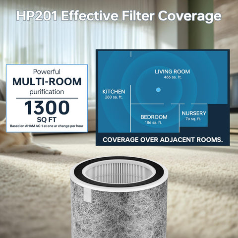 Doifyn replacement schedule for 2-pack keeps purifier operating efficiently.