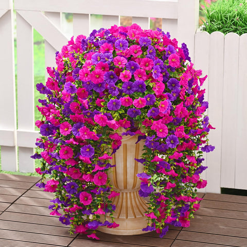 Dolicer eight-bundle outdoor flowers add fullness to hanging baskets