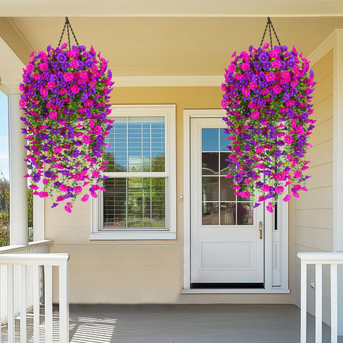 Dolicer easy-care flowers require no watering or maintenance