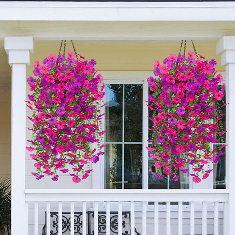 Dolicer maintenance-free flowers require no watering or pruning.