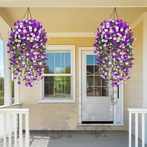 Dolicer mixed-purple outdoor flowers add charm to porches and patios