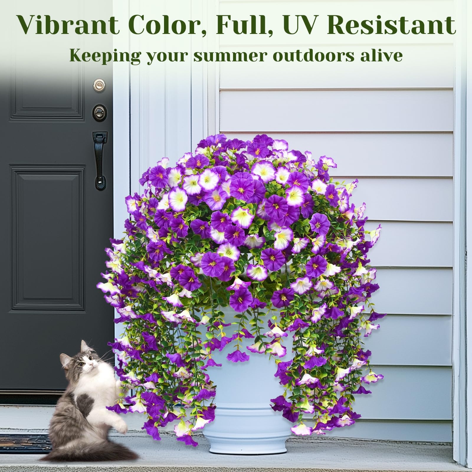 Dolicer UV-resistant blooms stay vivid in sun and wind