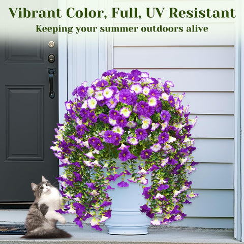 Dolicer UV-resistant blooms stay vivid in sun and wind