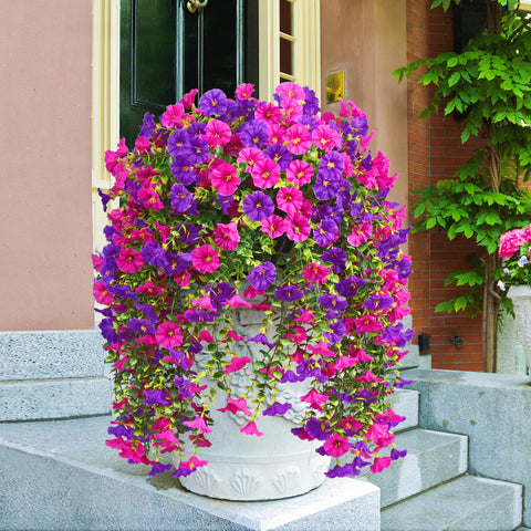 Dolicer versatile decor fits pots, hanging baskets, porches, and balconies.