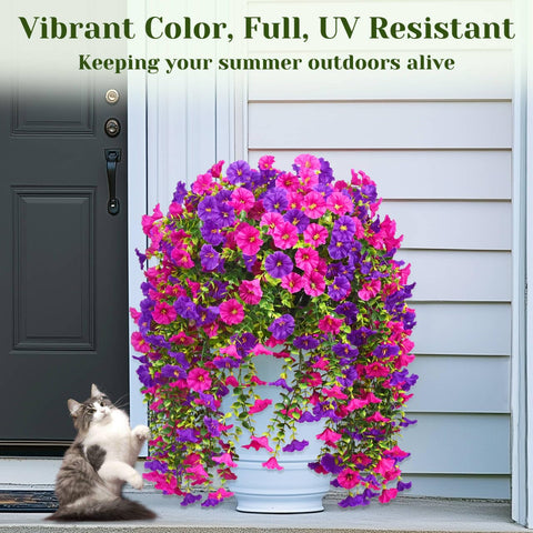 Dolicer vibrant purple-fuchsia petunia look enhances curb appeal