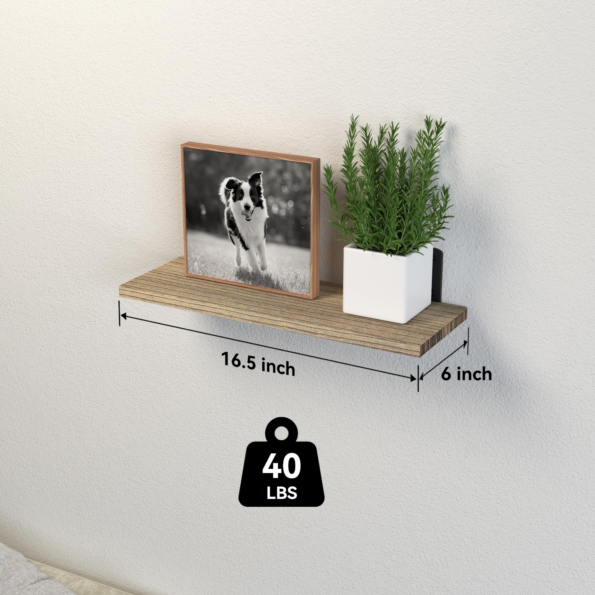 DOLLFIO eight-set layout unlocks flexible wall storage without clutter.