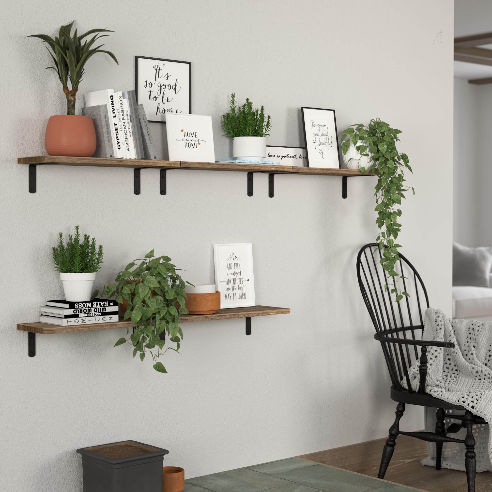 DOLLFIO wall-mounted shelves with visible wood grain add warm ambiance.