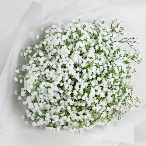DomeStar home display with artificial baby’s breath centerpiece
