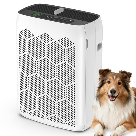 Domotrix JH22C purifies a large living room for spaces up to 2200 ft².