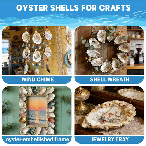 DoodleBean natural oyster shells 4-6 inch, easy to grip and paint.