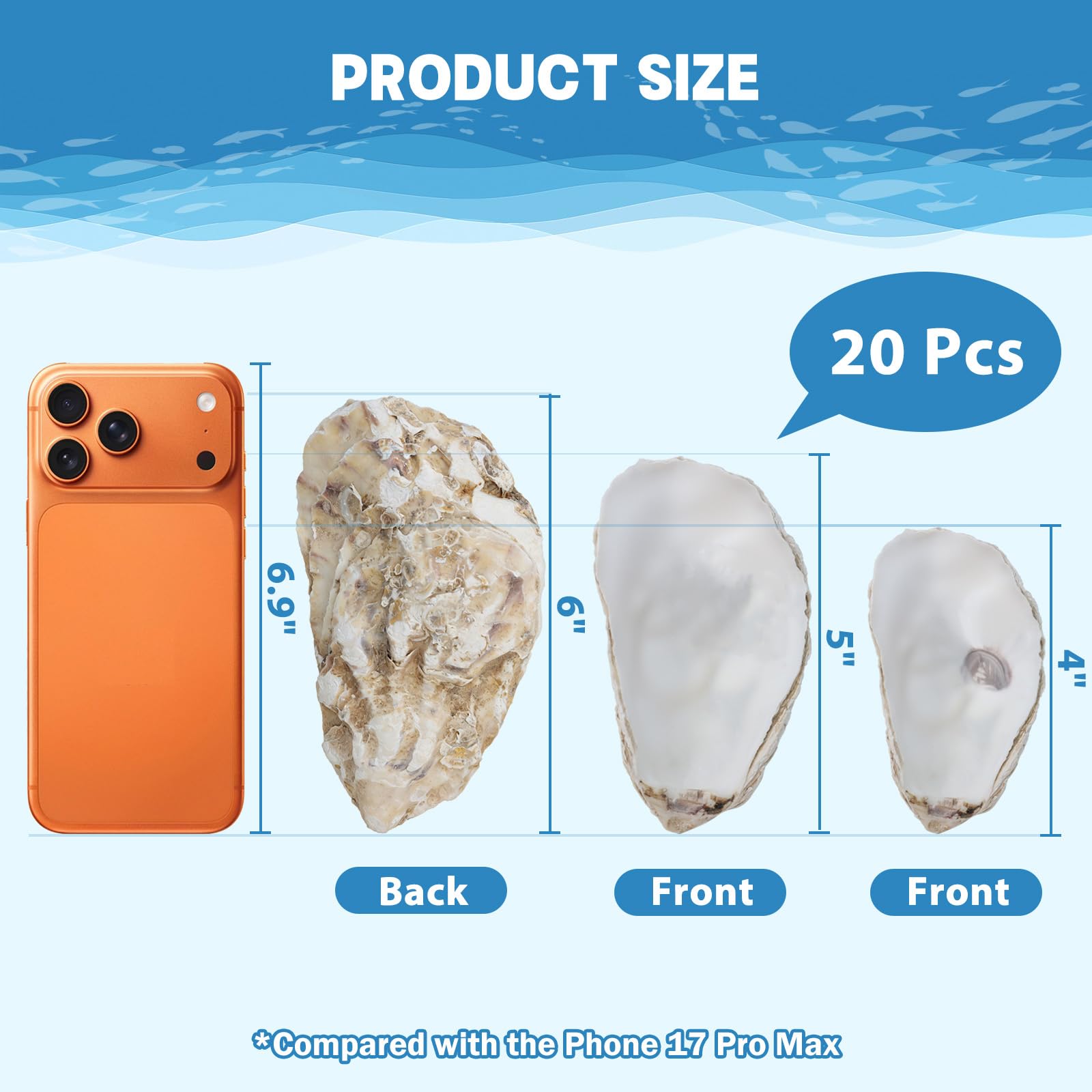 DoodleBean concave shells, 4-6 inch, ideal for wedding favors or holiday crafts.