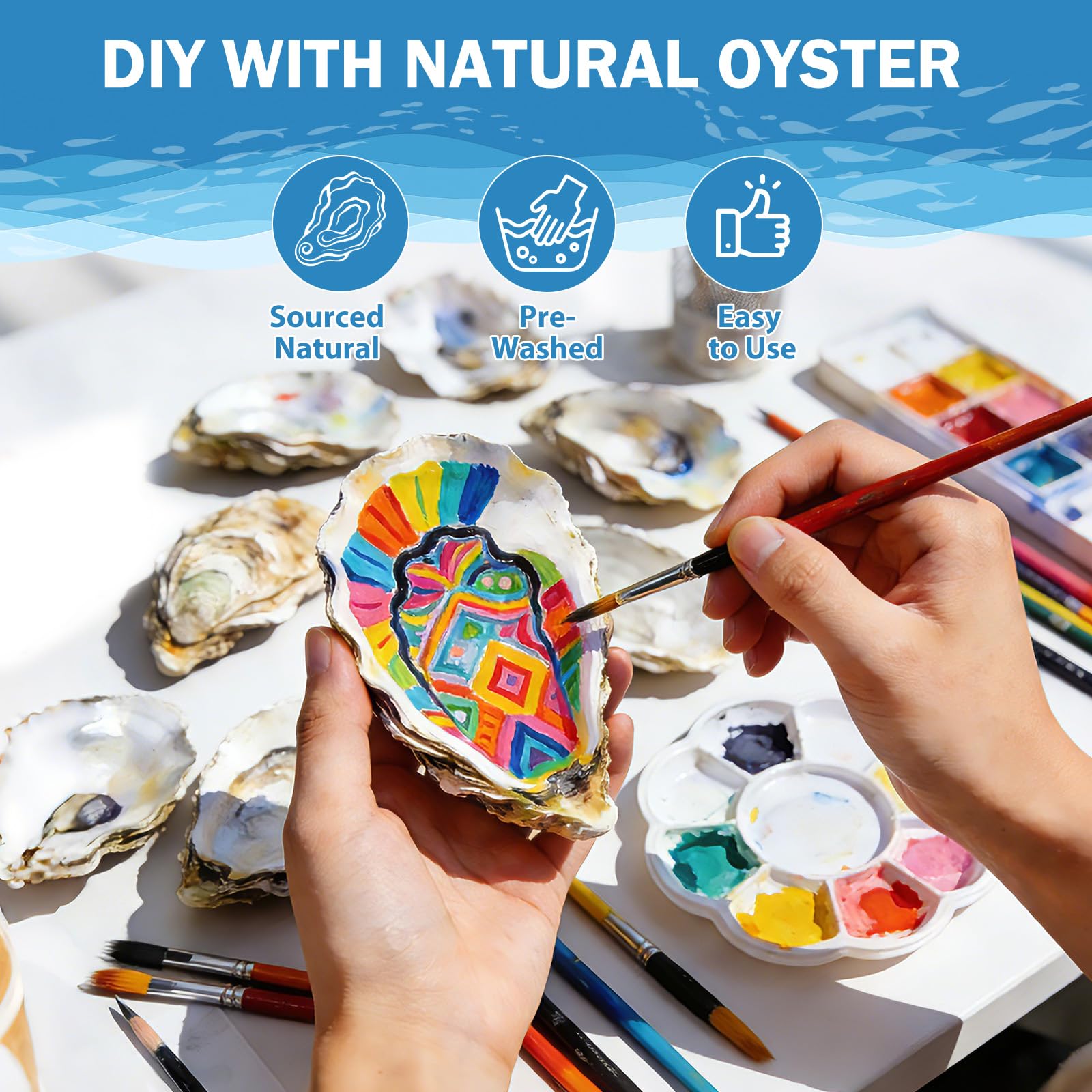 DoodleBean 20-piece oyster shell set, packaging protects delicate natural shells during transit.