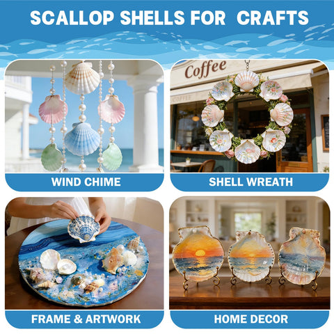 DOODLEBEAN scallop shells for crafts inspiring family art projects