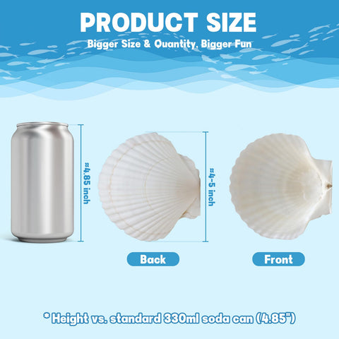 DOODLEBEAN shells securely packed to protect during transit