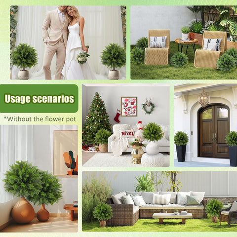 DOPGIB 23-inch topiary pair suitable for balanced facade design.