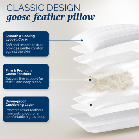 Downluxe hotel collection pillow with decorative piped edge for premium styling.
