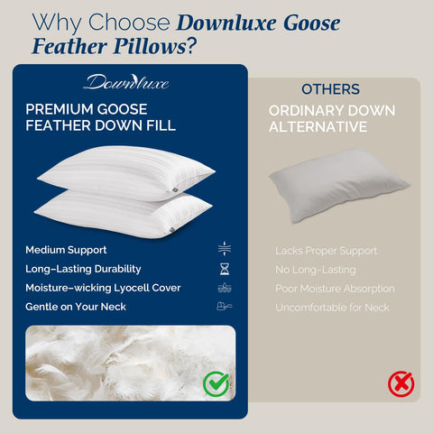 Pillow in use for back sleepers offering balanced support from Downluxe.