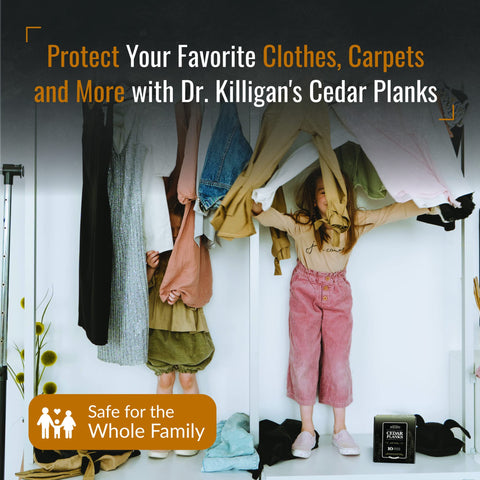 Dr. Killigan's cedar blocks in car for odor control and freshness.