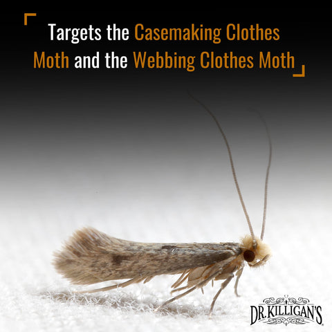 Designer white Dr. Killigan's traps blend with closet decor while protecting wool.