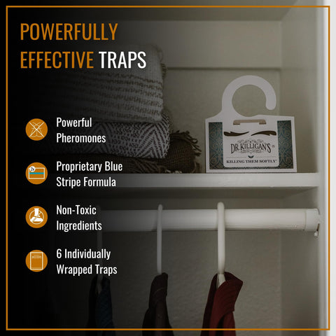 Dr. Killigan's moth traps lure male moths, shown in closet setup.