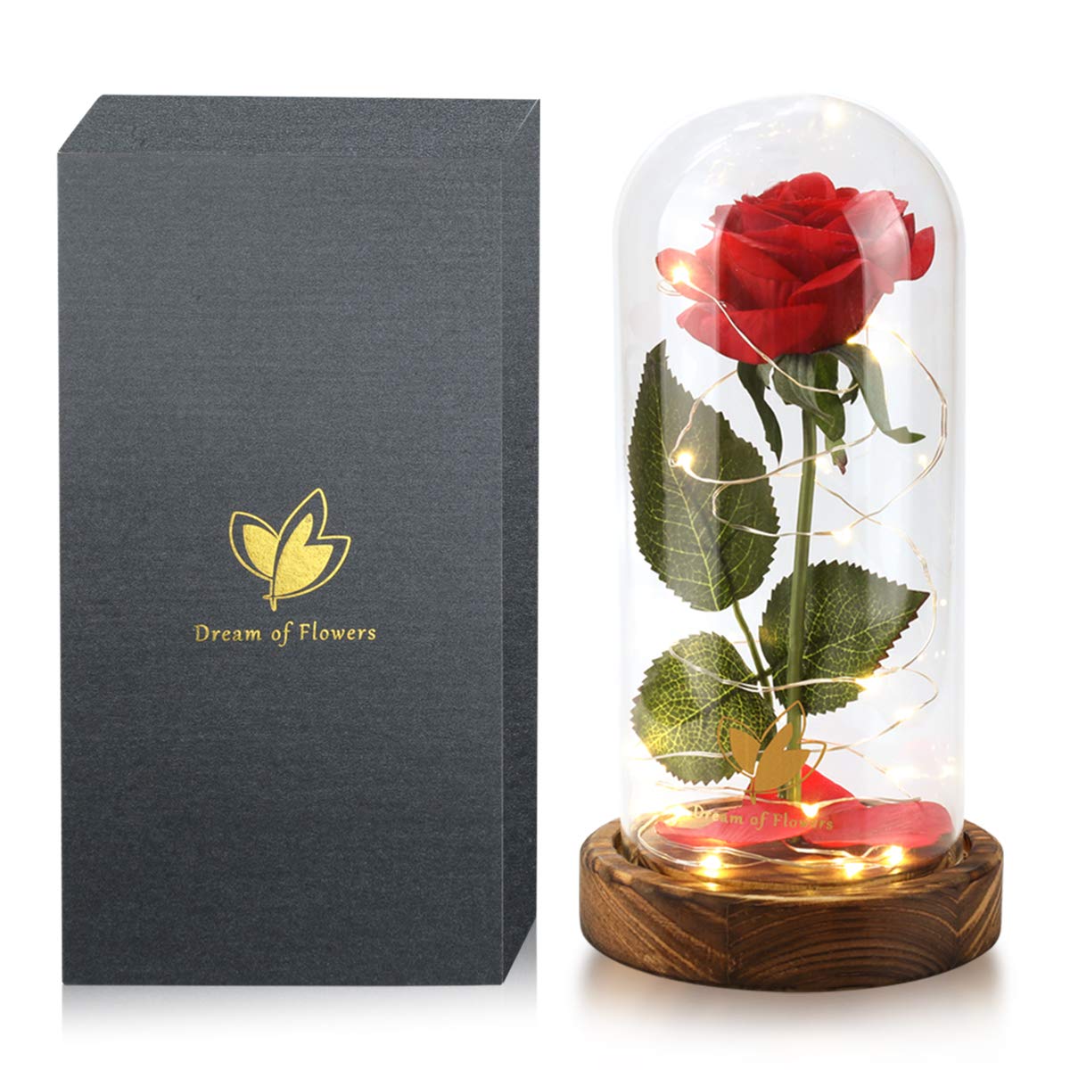 Dream of Flowers beauty-and-the-beast rose in glass dome glows softly for romantic ambiance.