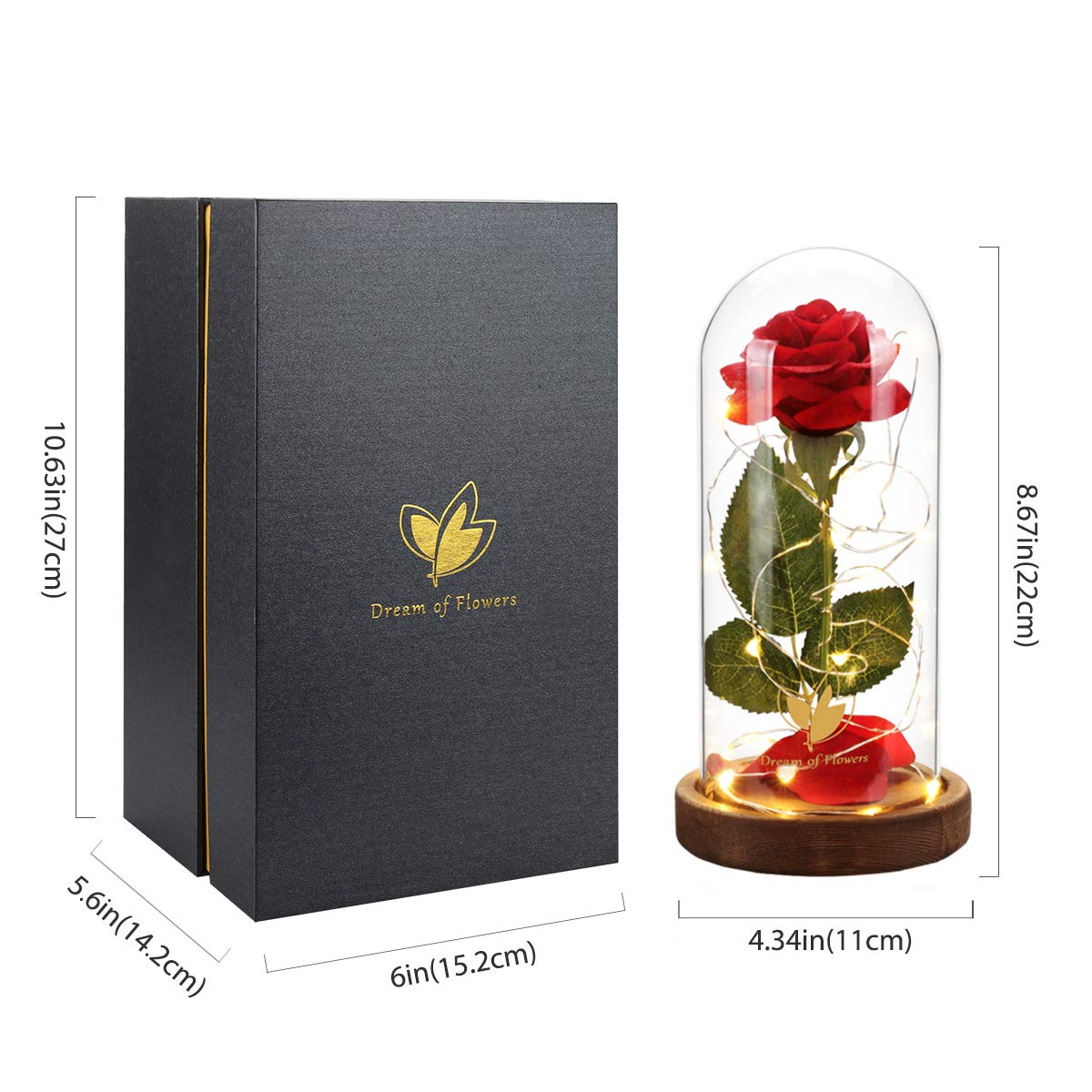 Dream of Flowers LED-lit rose petals shine softly for cozy nights.