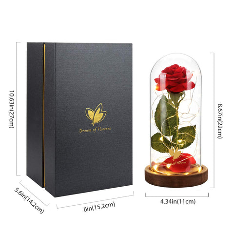 Dream of Flowers LED-lit rose petals shine softly for cozy nights.
