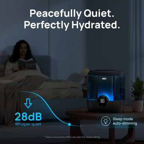 DREO 6L top-fill humidifier sleep mode for quiet nights and uninterrupted rest.