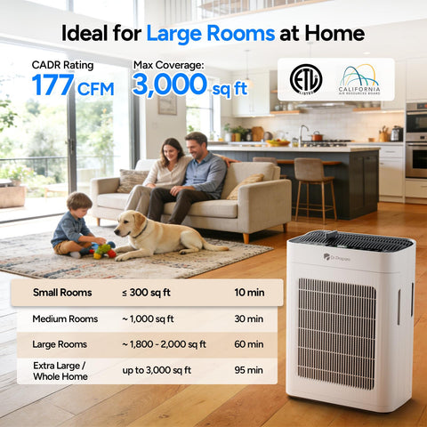 DR.PREPARE air purifier HEPA and carbon filtration traps fine particles and odors.