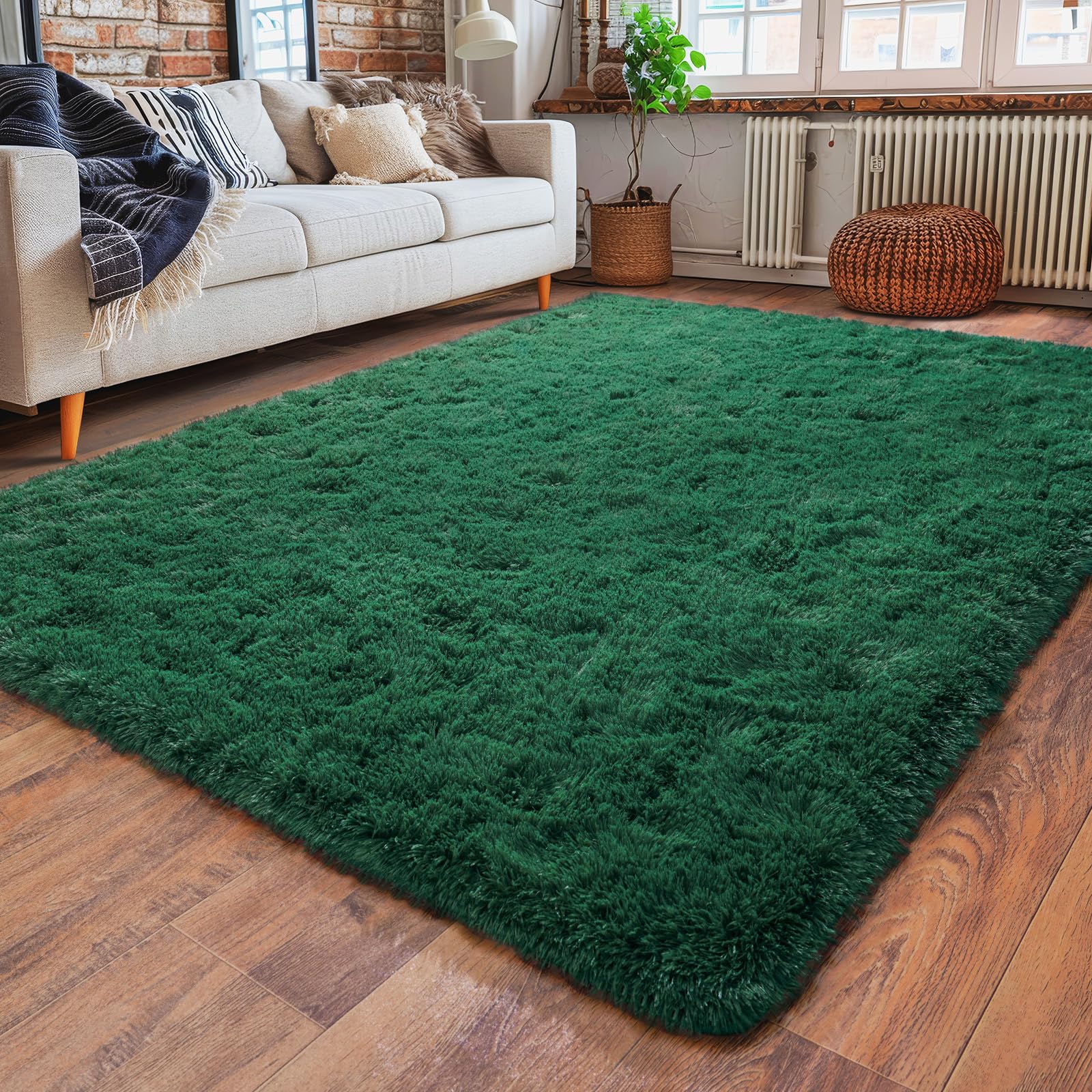 Dssimo super soft area rug 4x6 living room view showing plush warmth for cozy spaces