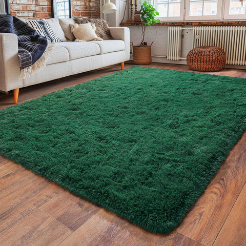 Dssimo super soft area rug 4x6 living room view showing plush warmth for cozy spaces