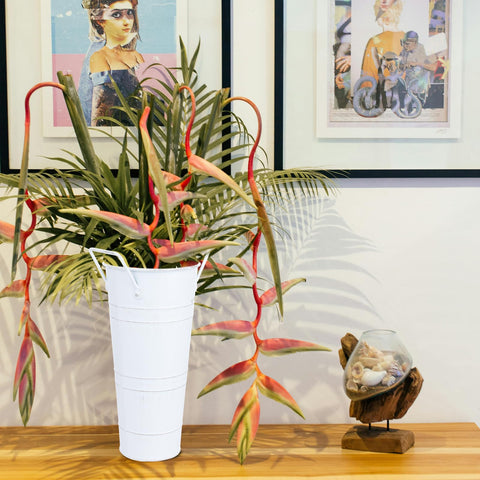 Dualshine vases with side handles for easy moving and wall hanging.