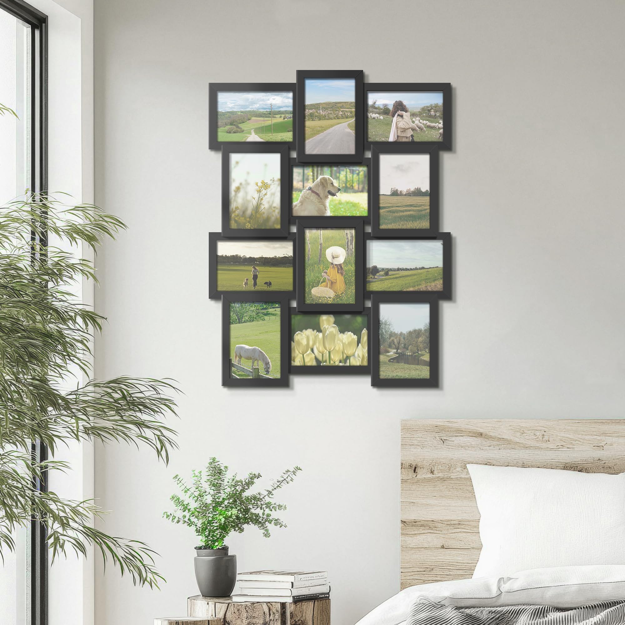DUENPY twelve-frame collage mounted on wall display