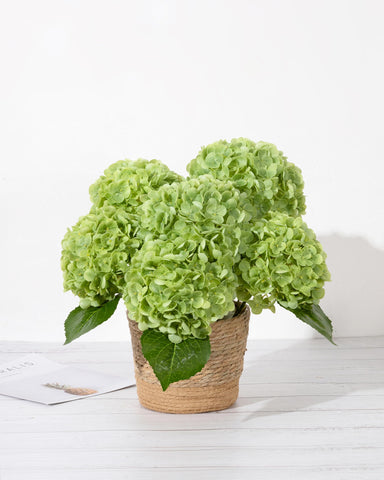 DuHouse hydrangea close-up real-touch petals showing lifelike texture.