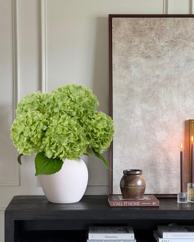 DuHouse maintenance free hydrangeas require no watering.