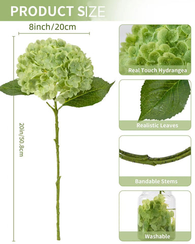 DuHouse living room hydrangea display enhances modern interiors.