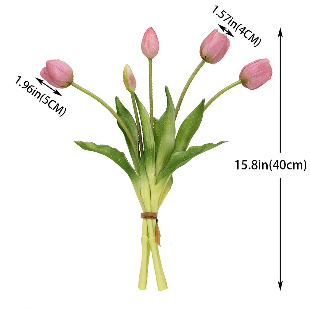 Close-up of DUYONE tulips bloom showing realistic texture