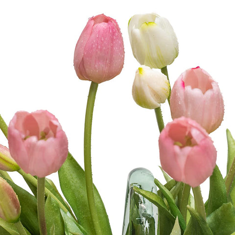 Dew-like spray effect on DUYONE tulips for a fresh look