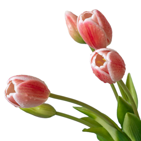 DUYONE tulips are easy to clean and maintain vibrant color without wilting or yellowing.