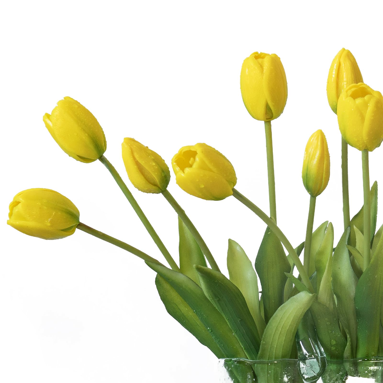 DUYONE latex tulips macro shot with glossy petals for premium look.
