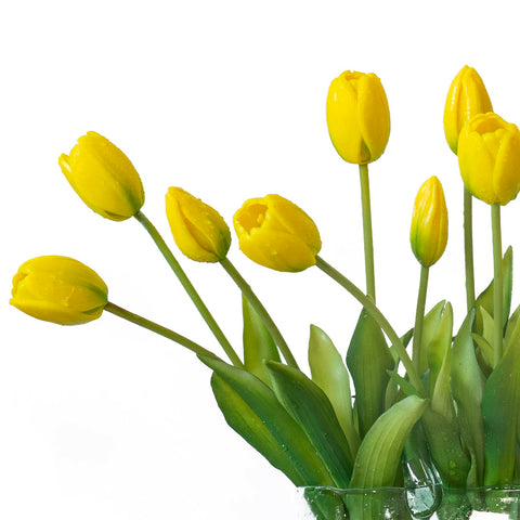 DUYONE latex tulips macro shot with glossy petals for premium look.